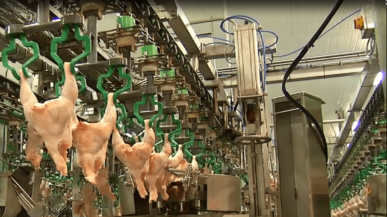 What is Poultry Processing